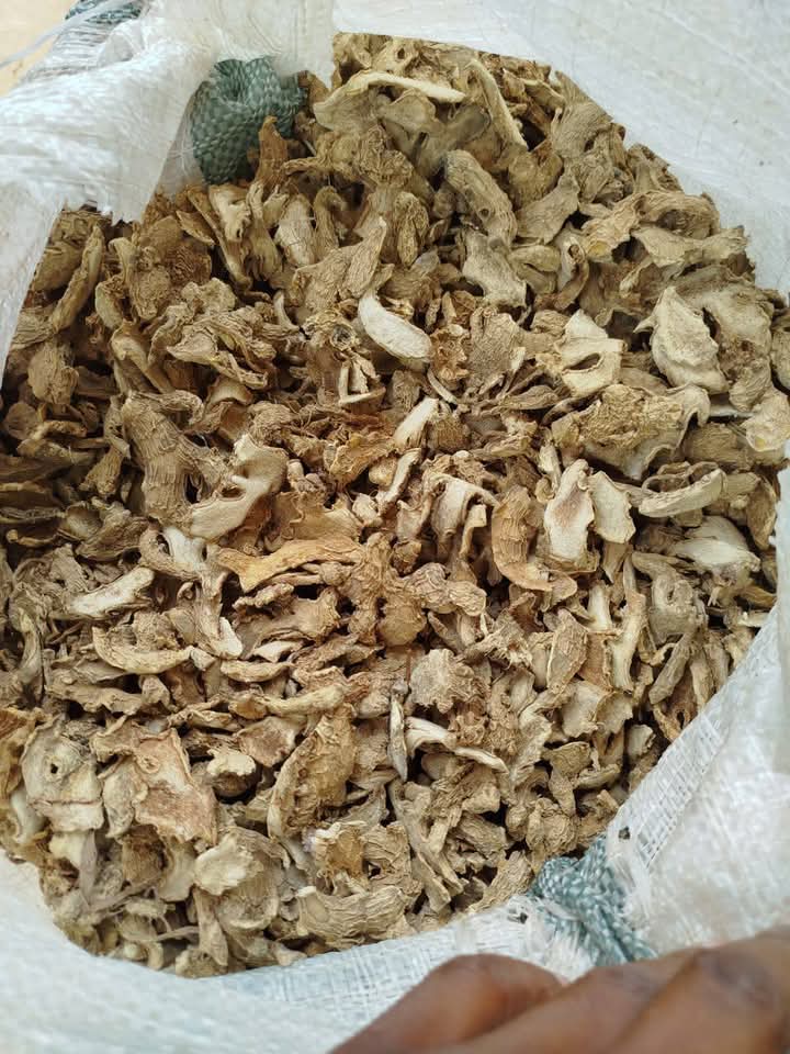 Ginger
