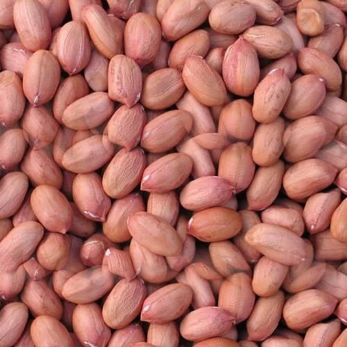 Groundnuts