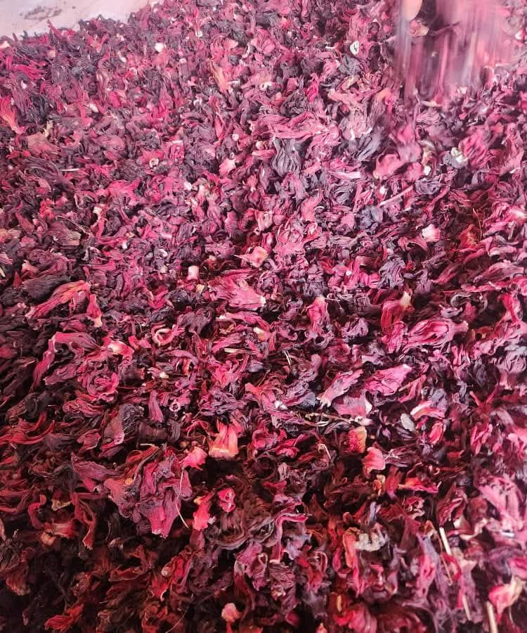 Hibiscus Flower